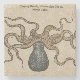Posavasos De Piedra Pulpo Kraken Antiguo Marino Vida Silvestre Costera