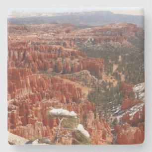 Posavasos De Piedra Punto de inspiración en el Cañón Bryce I