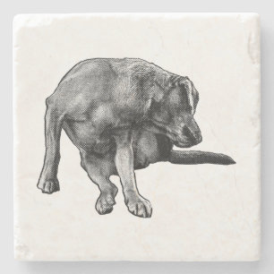 Posavasos De Piedra Pup de reproducción para tablas de cosecha