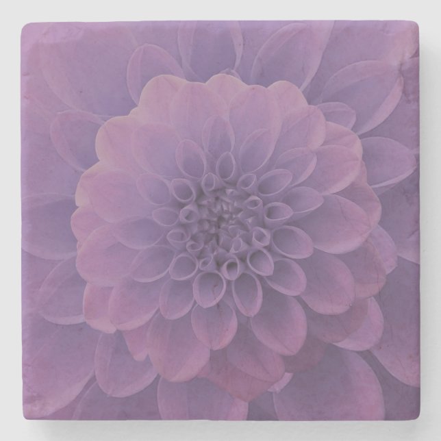 Posavasos De Piedra Purple Dahlia (Anverso)