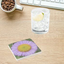 Posavasos De Piedra Purple Fleabane Daisy Floral