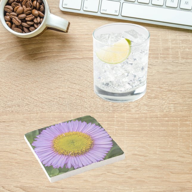 Posavasos De Piedra Purple Fleabane Daisy Floral (In Situ)