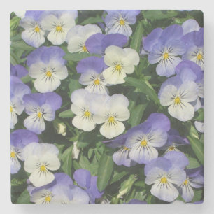 Posavasos De Piedra Purple Pansies Garden Floral