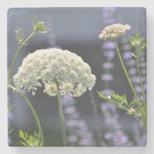 Posavasos De Piedra Queen Anne Coaster