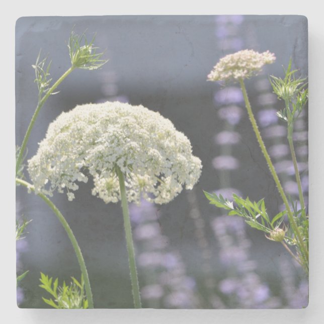 Posavasos De Piedra Queen Anne Coaster (Anverso)