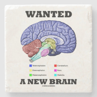 Posavasos De Piedra Quiso un humor anatómico del cerebro del nuevo