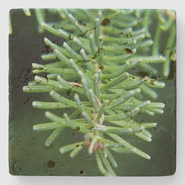 Posavasos De Piedra Rama de árbol de Navidad (Anverso)