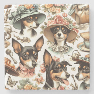 Posavasos De Piedra Rat Terrier Viejo Sin Marea