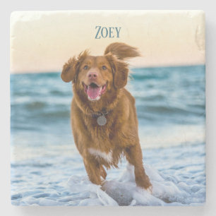 Posavasos De Piedra Recuerdo de Fotos Personalizadas de Mascotas como 