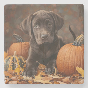 Posavasos De Piedra Recuperación de Labrador de Chocolate en otoño