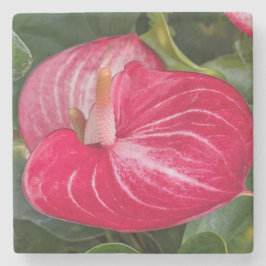 Posavasos De Piedra Red Anthurium Bloom Floral