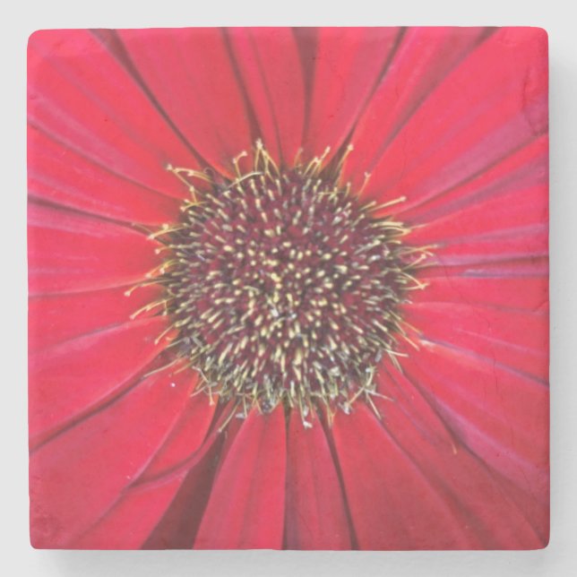 Posavasos De Piedra Red Flower Marble Stone Coaster (Anverso)
