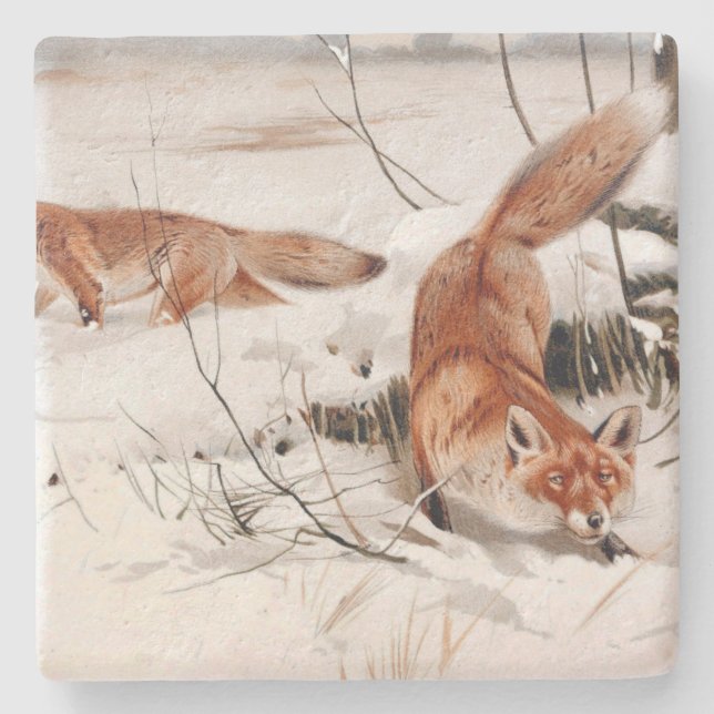 Posavasos De Piedra Red Foxes in the Winter Snow (by Wilhelm Kuhnert) (Anverso)