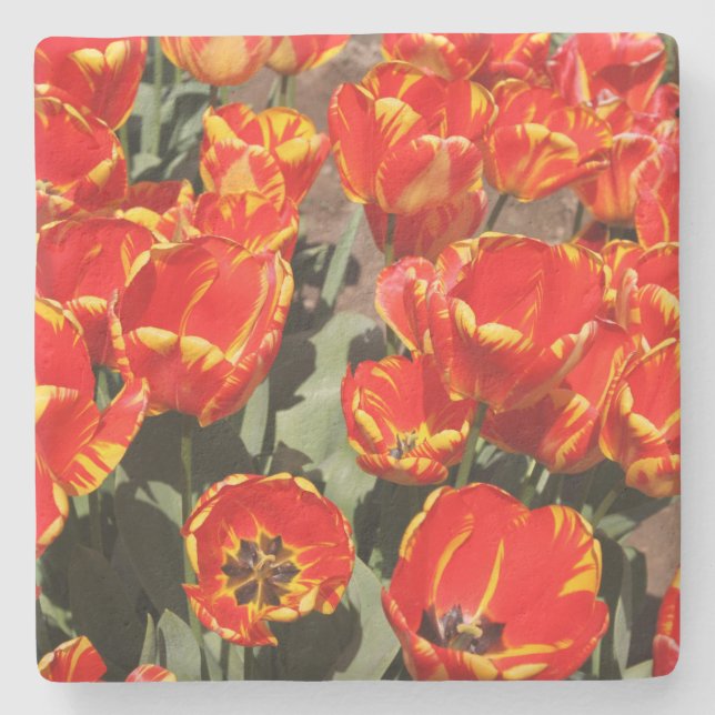 Posavasos De Piedra Red Tulips Stone Coaster (Anverso)