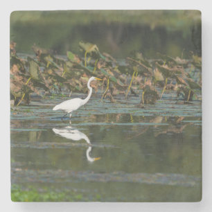 Posavasos De Piedra Reflexión de Egret Blanco