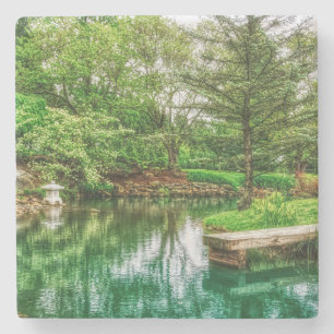 Posavasos De Piedra Reflexiones verdes de primavera
