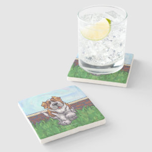 Posavasos De Piedra Regalos y accesorios de St. Bernard