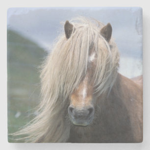 Posavasos De Piedra Reino Unido, Escocia, Islas Shetland, pony de Shet