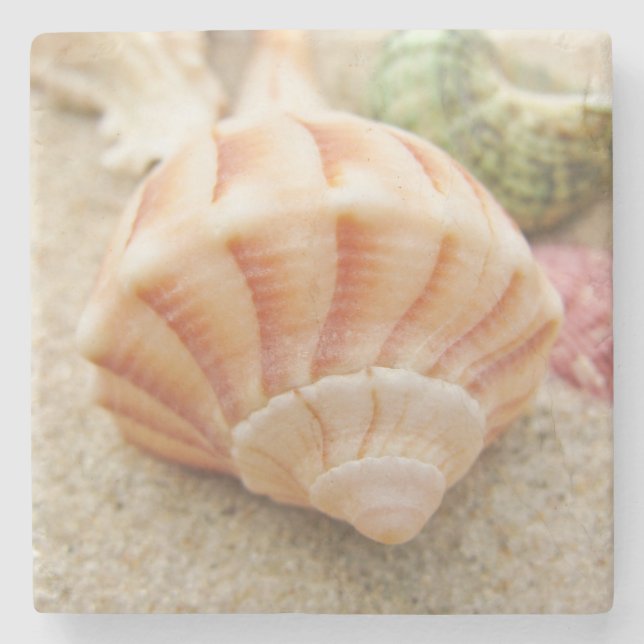 Posavasos De Piedra Relámpago con caparazón de mar a rayas (Anverso)