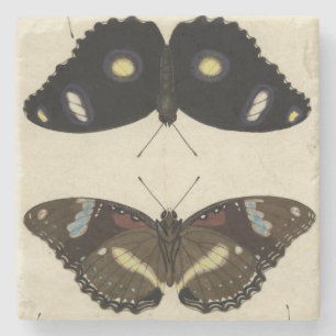 Posavasos De Piedra Relevo colorido de la mariposa en el fondo poner
