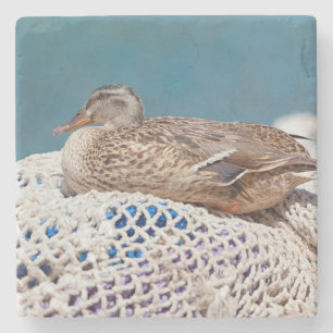 Posavasos De Piedra Resting Duck