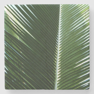 Posavasos De Piedra Resumen verde tropical de palmeras que se abruman