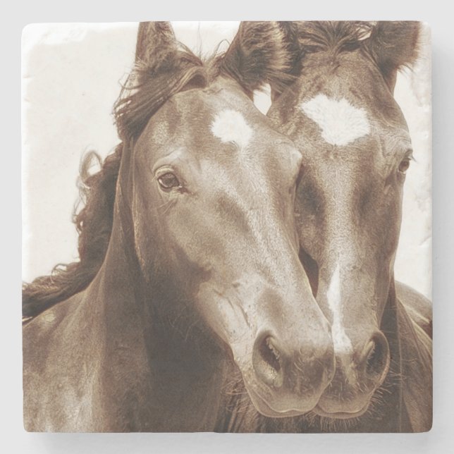 Posavasos De Piedra Retrato de caballo III (Anverso)