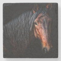 Retrato de caballo VII