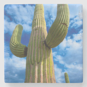 Posavasos De Piedra Retrato de cactus de Saguaro, Arizona
