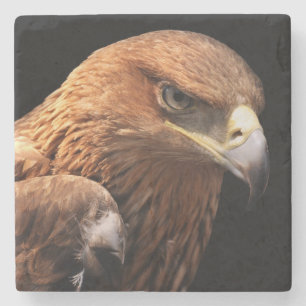Posavasos De Piedra Retrato de Eagle aislado en negro