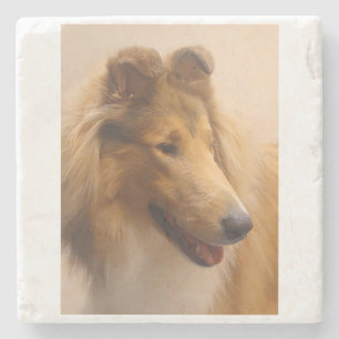 Posavasos De Piedra Retrato de un collie tosca