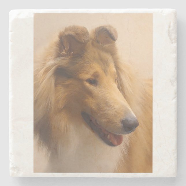 Posavasos De Piedra Retrato de un collie tosca (Anverso)