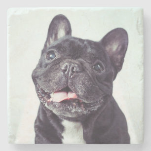 Posavasos De Piedra Retrato de un feliz Bulldog francés