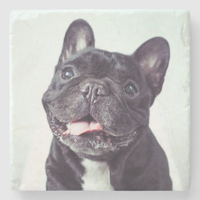 Posavasos De Piedra Retrato de un feliz Bulldog francés (Anverso)