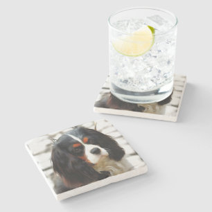 Posavasos De Piedra Retrato De Un Rey Charles Cavalier Spaniel