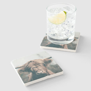 Posavasos De Piedra retrato de vaca de las tierras altas
