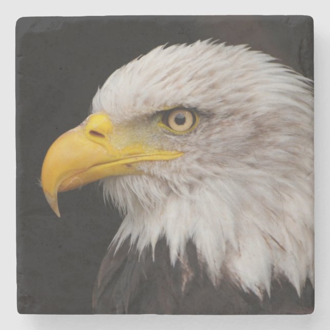 Posavasos De Piedra Retrato del águila (Anverso)