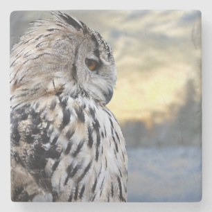 Posavasos De Piedra Retrato del búho en fondo del bosque del invierno