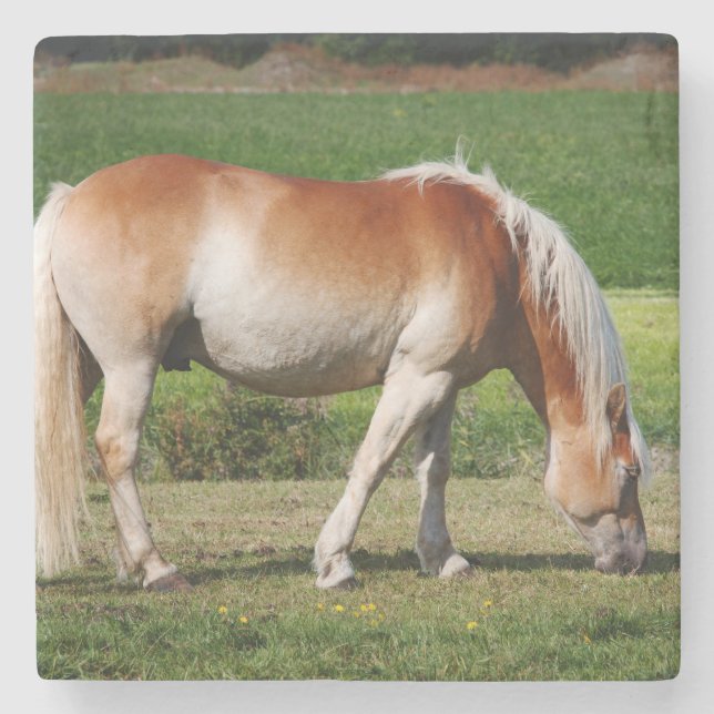 Posavasos De Piedra Retrato del caballo (Anverso)
