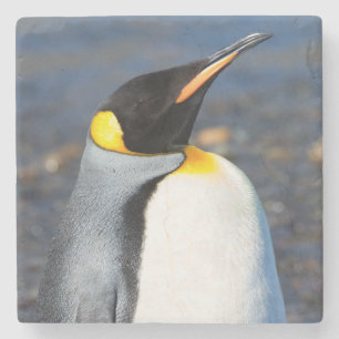 Posavasos De Piedra Retrato pingüino