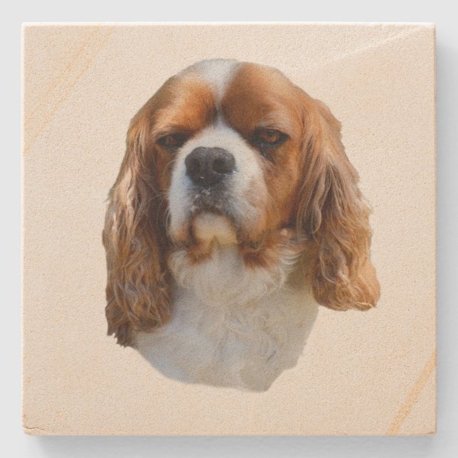 Posavasos De Piedra Rey Charles Cavalier Spaniel, (Anverso)