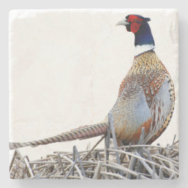 Posavasos De Piedra Ring-necked Pheasant Photo Stone Trivet