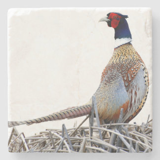 Posavasos De Piedra Ring-necked Pheasant Photo Stone Trivet