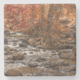 POSAVASOS DE PIEDRA RÍO FORESTAL DE OTOÑO SEDONA ARIZONA