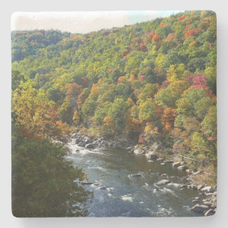 Posavasos De Piedra Río Ohiopyle en otoño II en Pensilvania