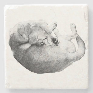 Posavasos De Piedra Ritual de oferta