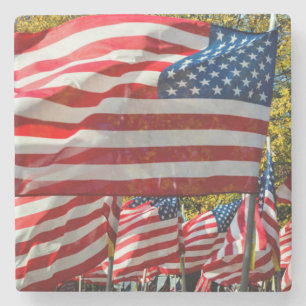 Posavasos De Piedra Riverdale, Nueva York, los E.E.U.U. País vinícol