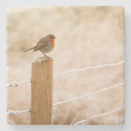 Posavasos De Piedra Robin Redmama