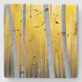 Posavasos De Piedra rodeado de árboles de Aspen