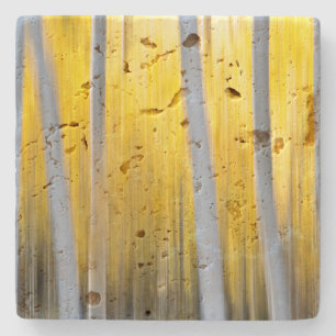 Posavasos De Piedra rodeado de árboles de Aspen